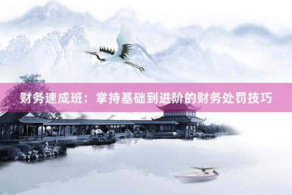 财务速成班：掌持基础到进阶的财务处罚技巧